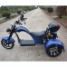 Электроскутер  Citycoco SkyBoard TRIKE CHOPPER