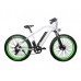 Электрофэтбайк El-sport bike TDE-08 500W Электрофэтбайк El-sport bike TDE-08 500W