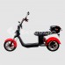 Электроскутер Citycoco SkyBoard BR30-3000 PRO FAST