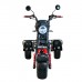 Электроскутер Citycoco WS-PRO+ trike 3000w 21ah (черный)